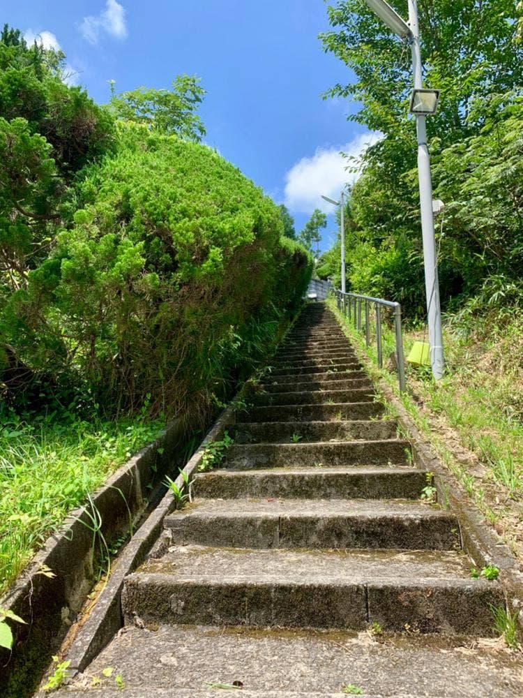 グリーンテラス