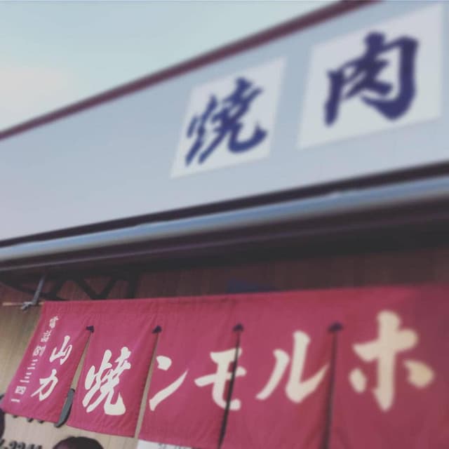 山力 - サブ画像2