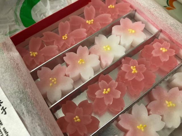 龍栄堂 函館駅店 - サブ画像1