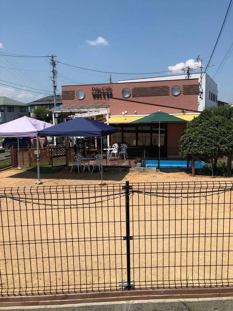 Dog Cafe WITH