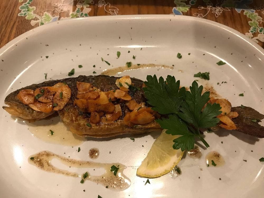 ガストホフ ハイ・ウィング