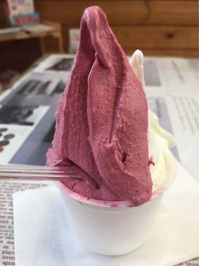 つくりたて生アイスの店 ふるフル - サブ画像1