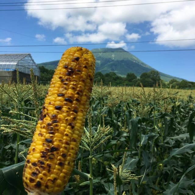 柳田とうもろこし店 - サブ画像2