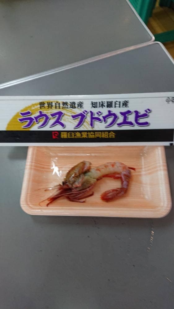羅臼漁協直営店 海鮮工房