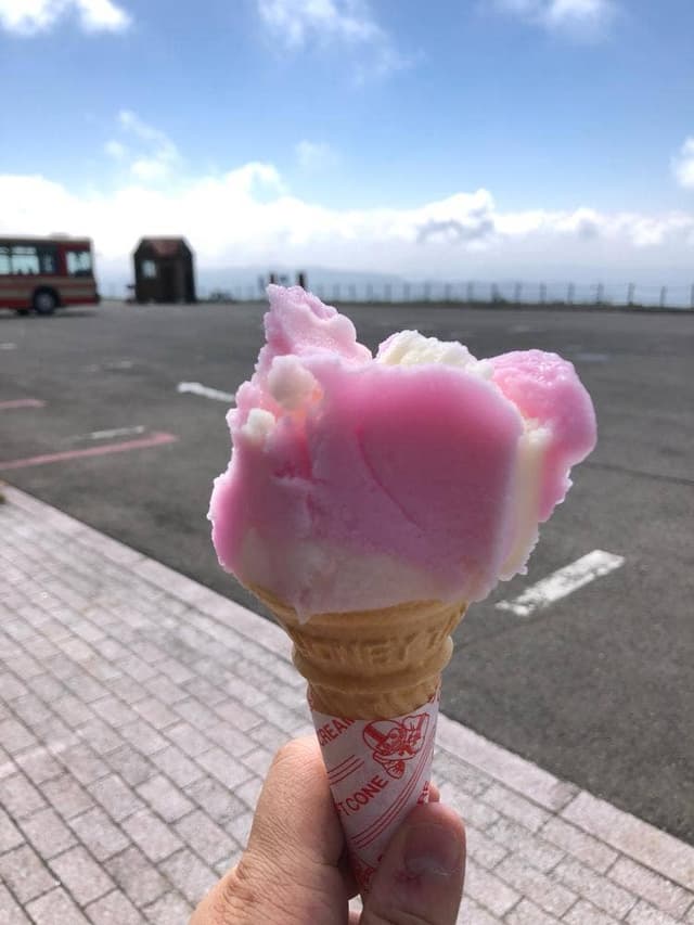 八幡平山頂レストハウス - サブ画像3