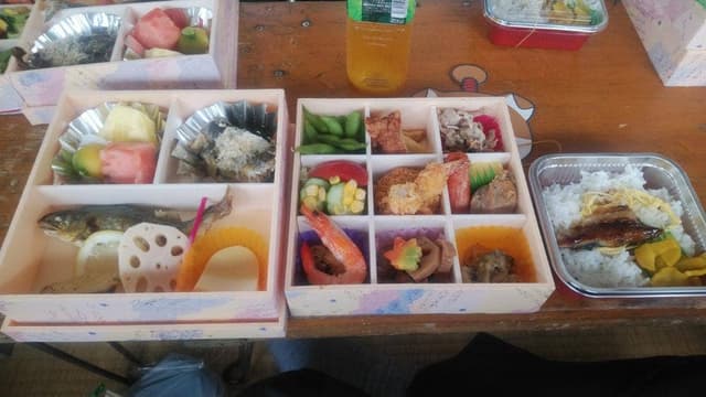 木曽川鵜飼い - サブ画像1