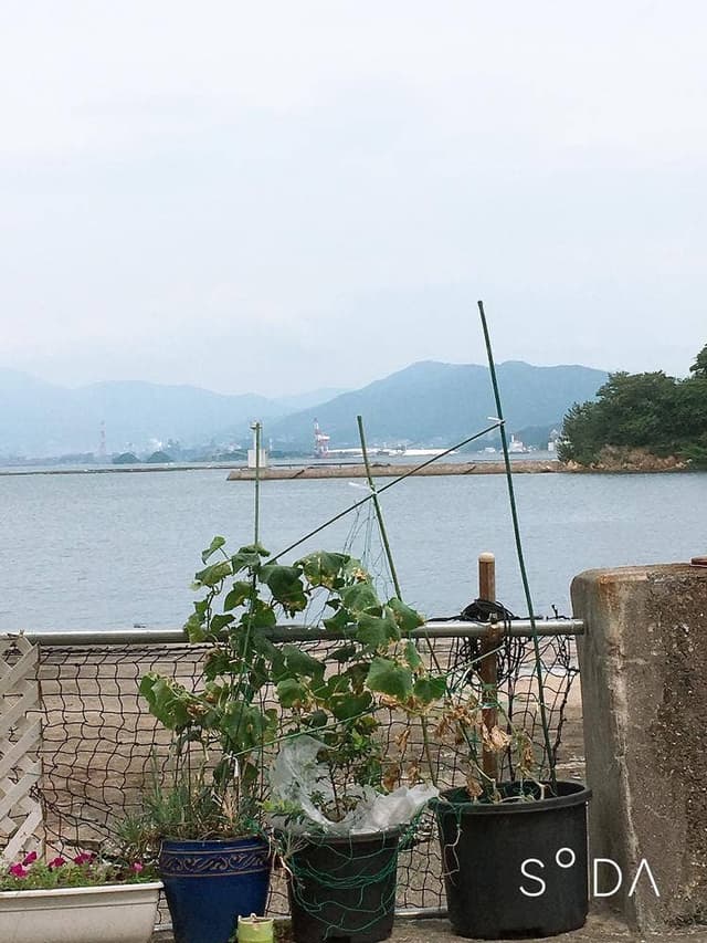 海辺のカフェ ヒキシマ - サブ画像2