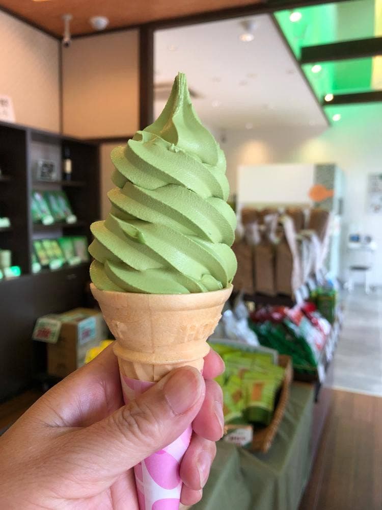 宇治茶の郷