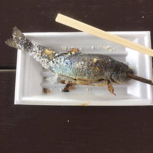 赤見温泉フィッシングフラワーパーク - サブ画像1
