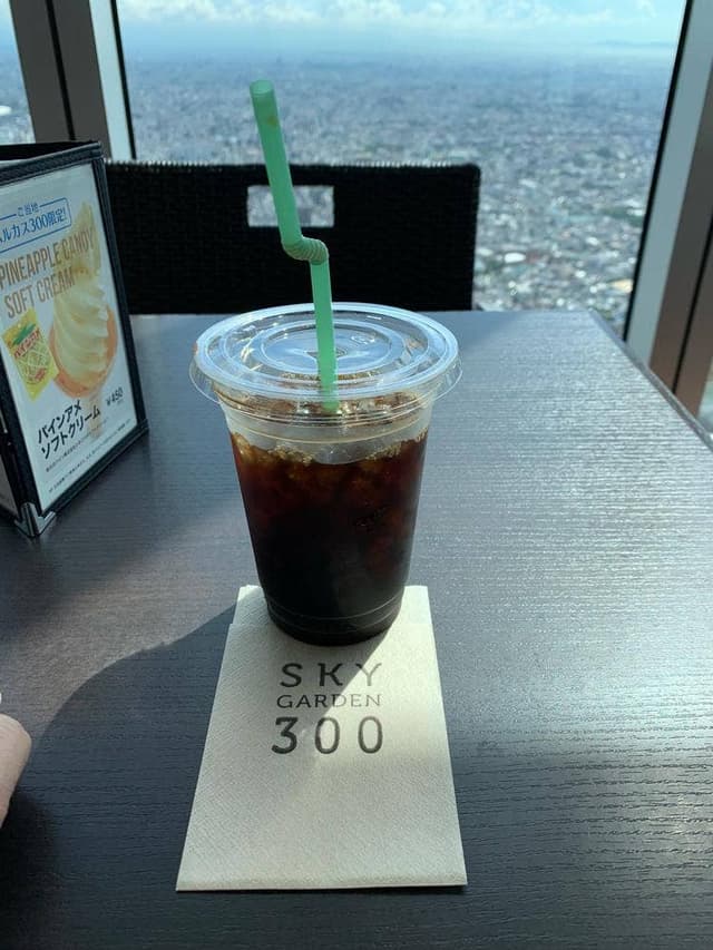 SKY GARDEN 300 - サブ画像1