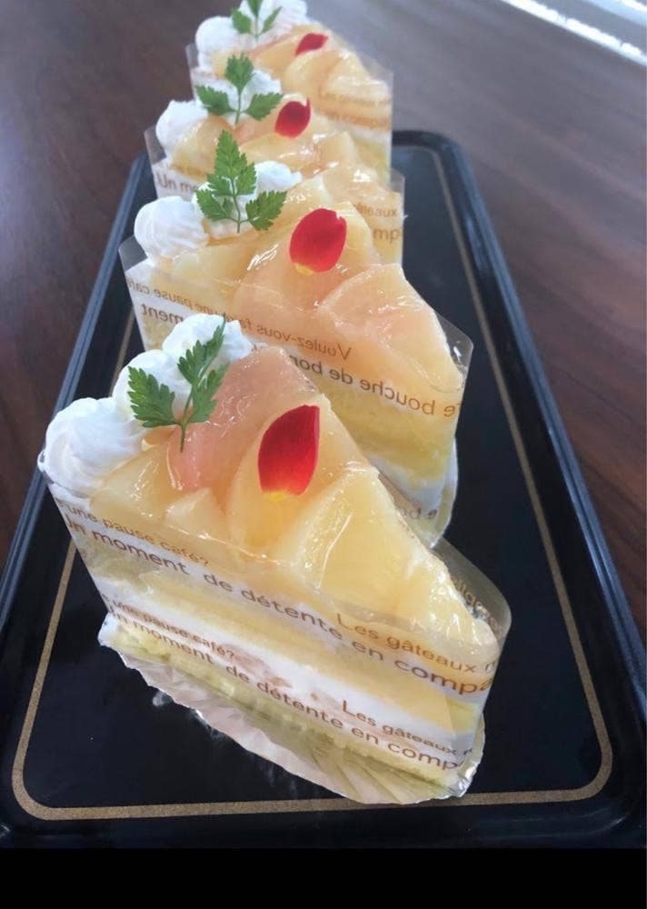 ペイサー樹NOJIRI