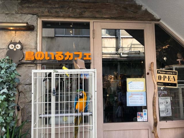 鳥のいるカフェ 谷中本店 - サブ画像1
