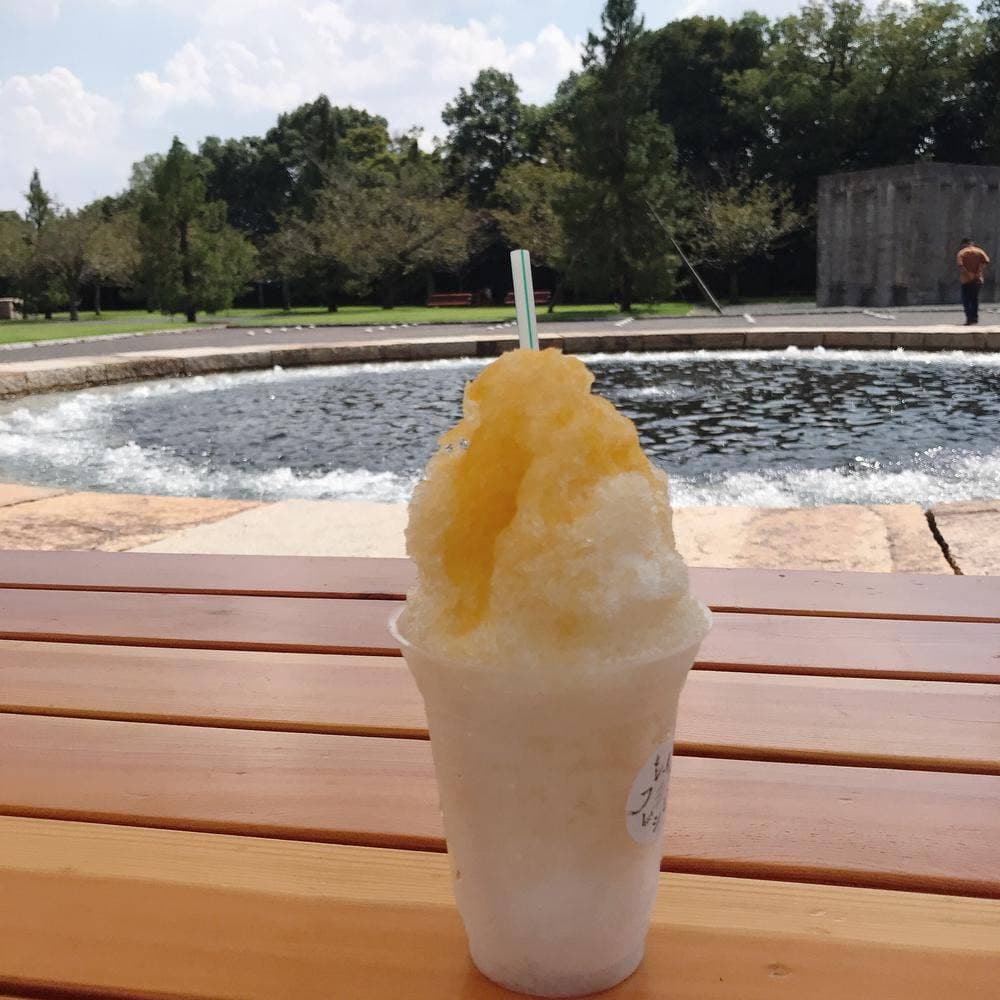 フレイトレシピ