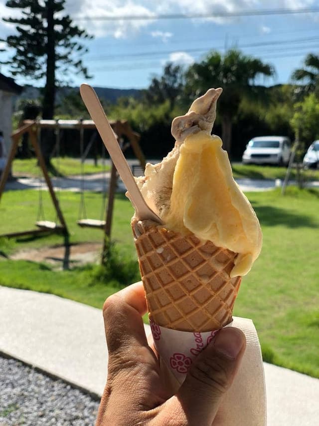 種子島ジェラート HOPE - サブ画像2