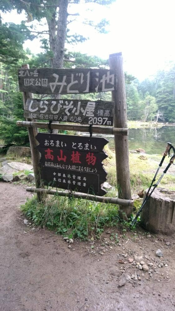 しらびそ小屋 - サブ画像2
