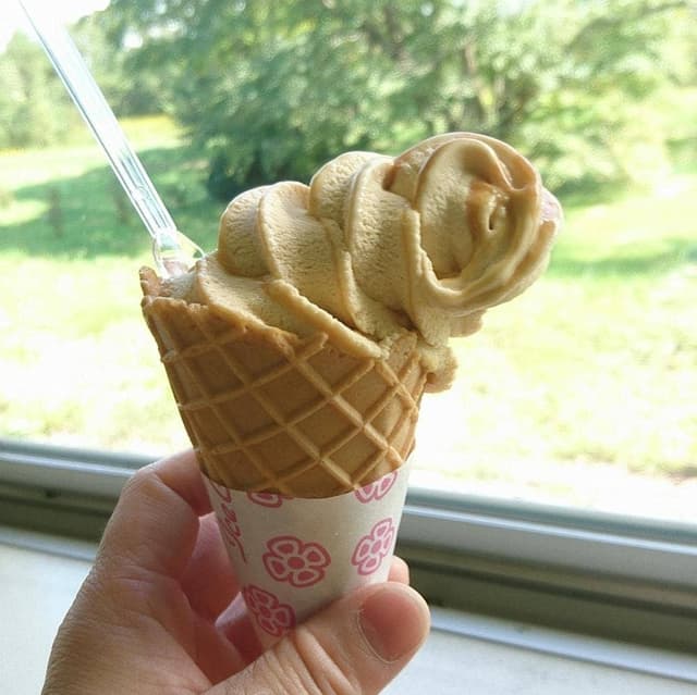 道の駅ウトナイ湖 - サブ画像2