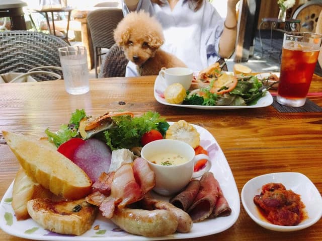 SunCafe - サブ画像3