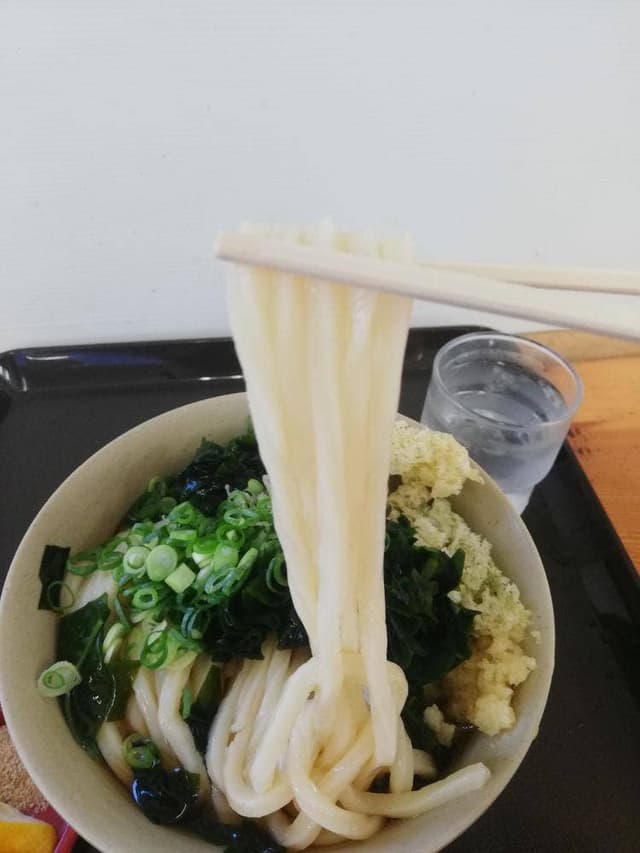 うどん元匠 東かがわ店 - サブ画像1