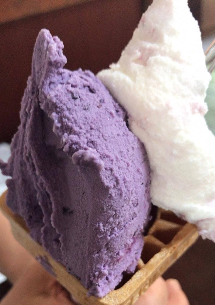 アルティジャーノ・ジェラテリア