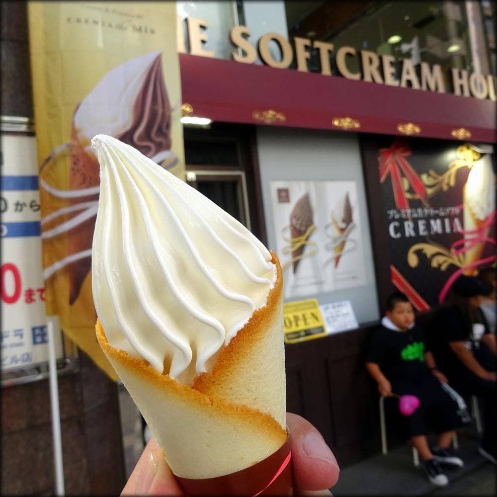 THE SOFTCREAM HOUSE