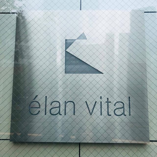 elan vital - サブ画像1