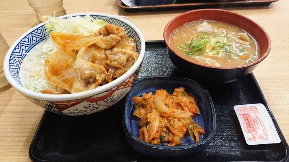 吉野家 庄内緑地公園店