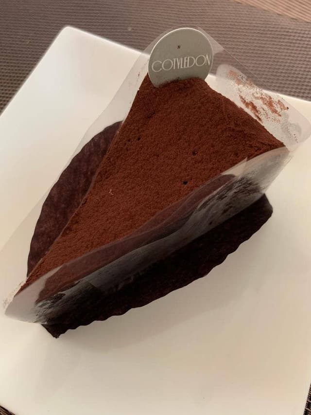 COTYLEDON - サブ画像2