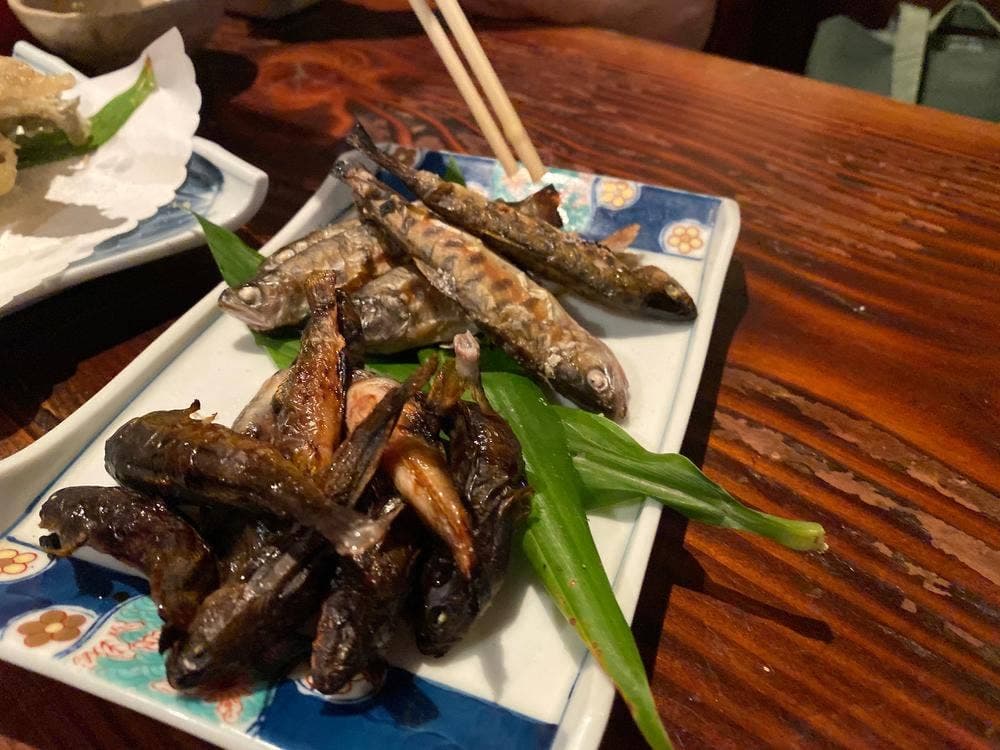 旬菜 呑処 こけし