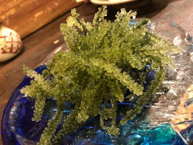 小桜 - サブ画像3