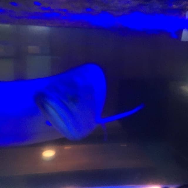 18BAR - サブ画像1