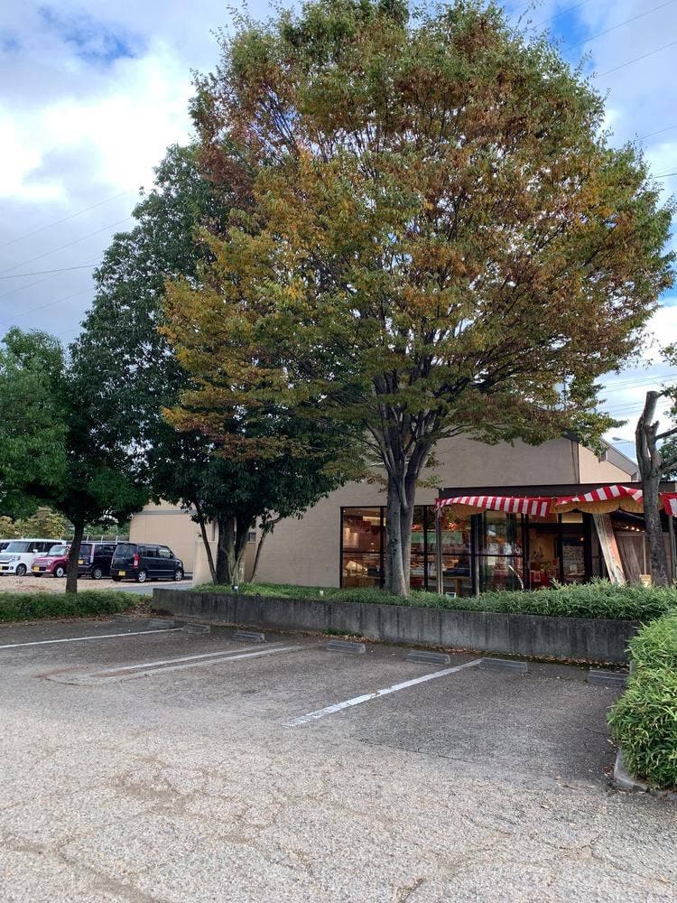 吉野屋 お菓子の森 平成店