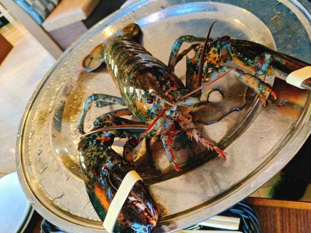 レッドロブスター ユニバーサル・シティウォーク大阪店