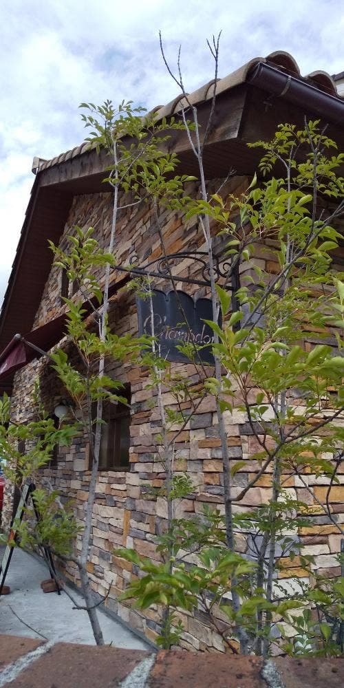 シャンドール - サブ画像2