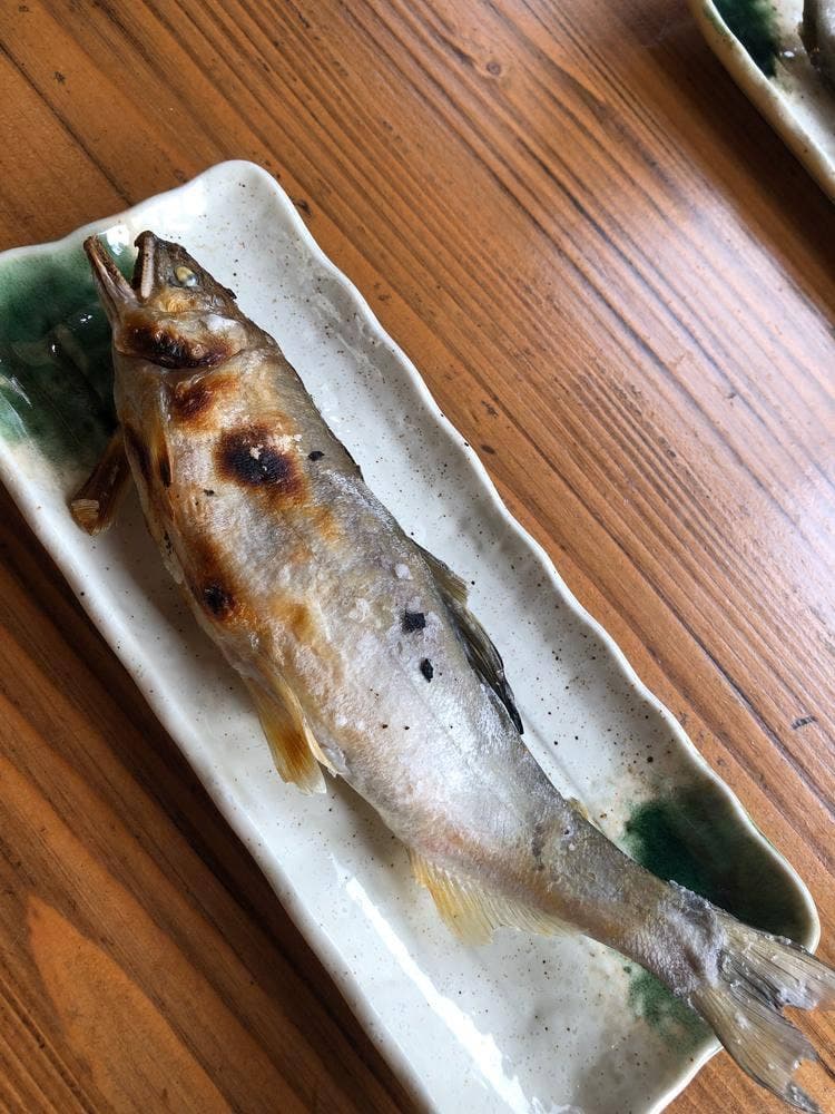 ヤナ茶屋もがみ