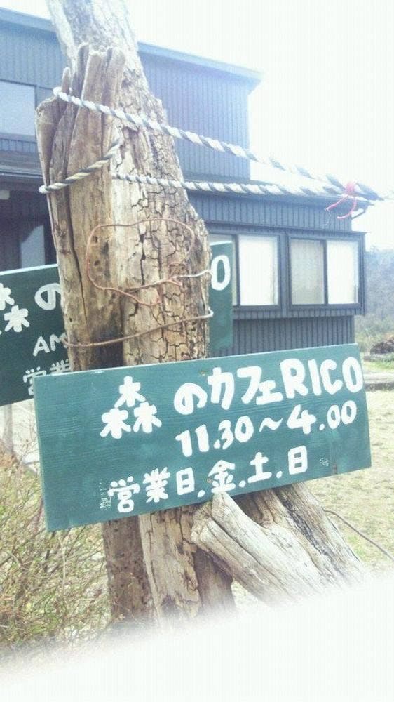 RICO - サブ画像2