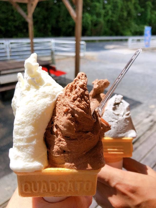 polano - サブ画像2