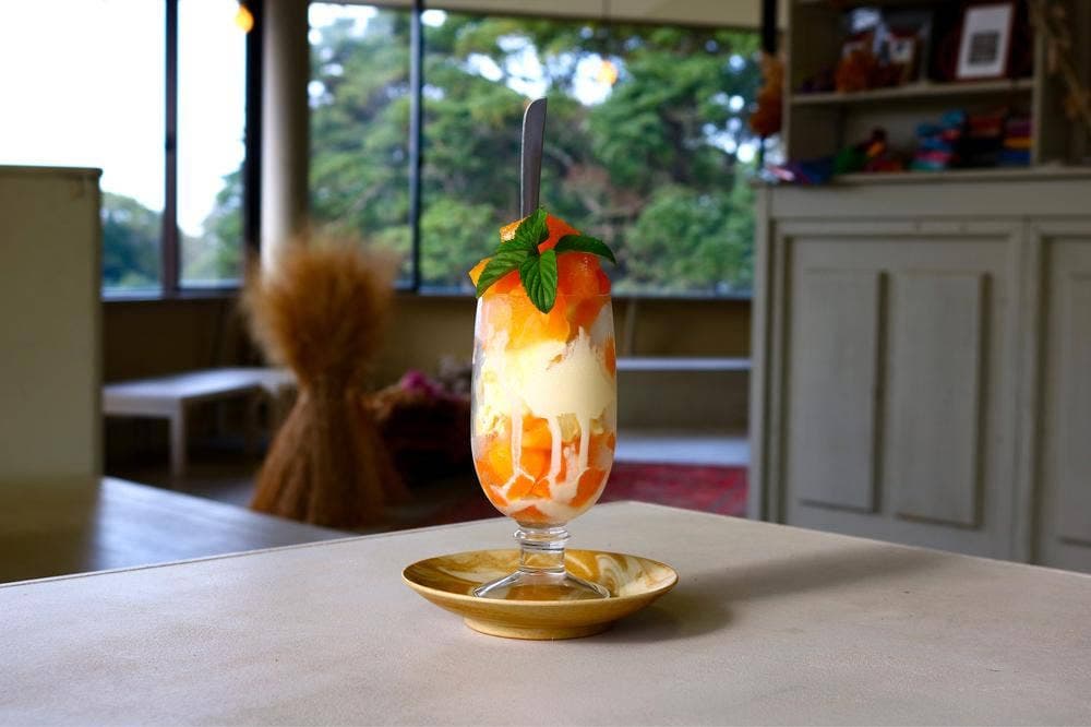 青島ハンモック