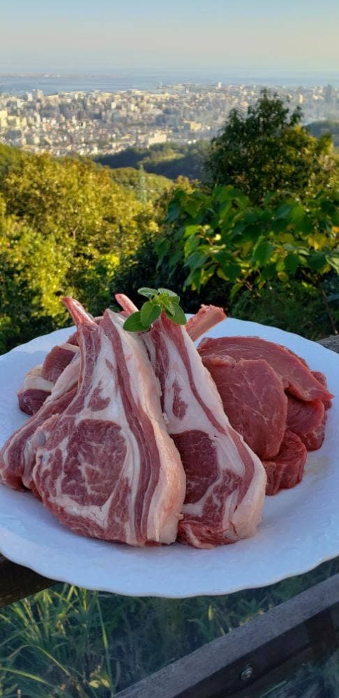 ガーデンレストラン 風舎 - サブ画像3