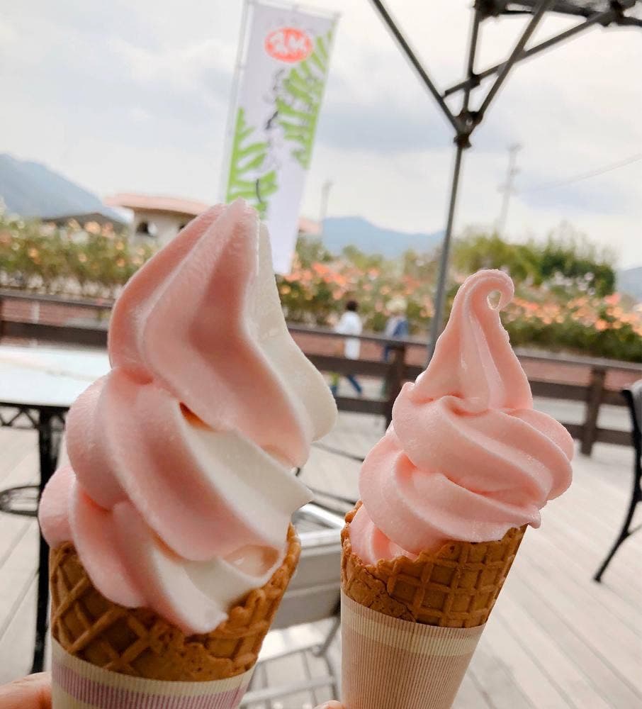 よしうみローズ館