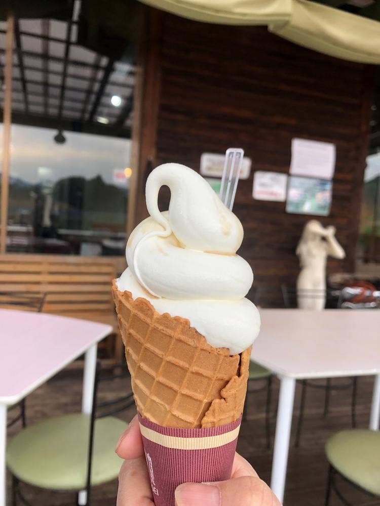 ふれあい食堂 ハイジのキッチン 綾部ふれあい牧場