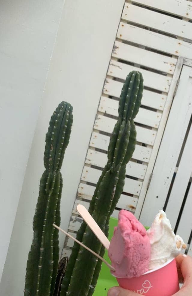 沖縄手作りジェラート yukuRu - サブ画像2