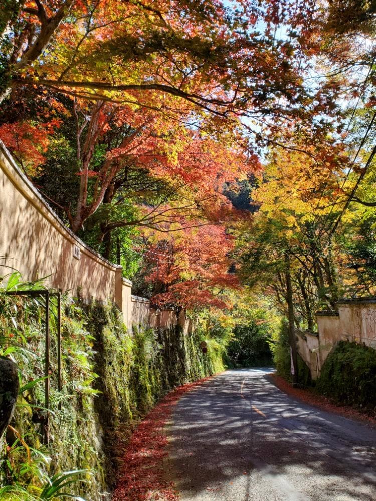 紅葉亭