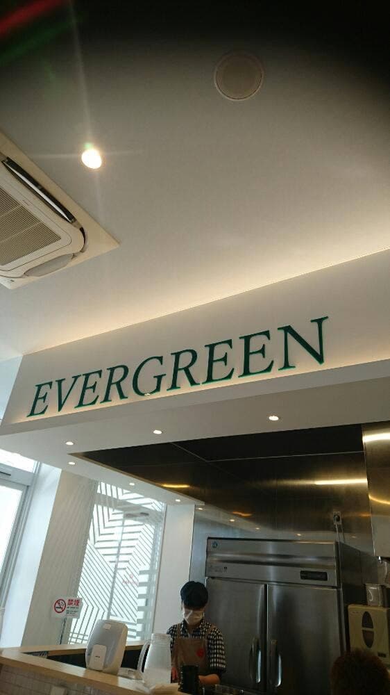 EVERGREEN - サブ画像2