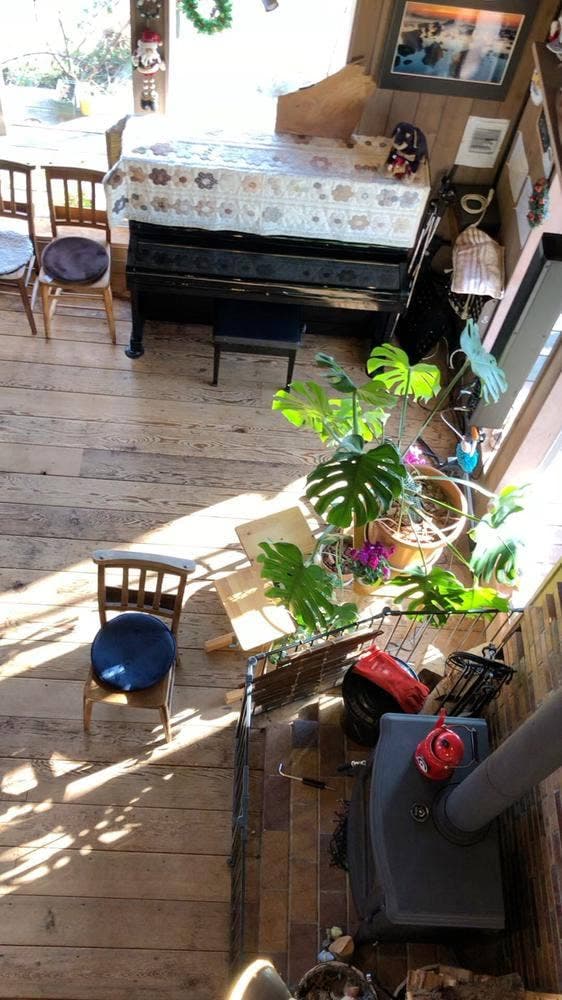 森のめぐみ - サブ画像1