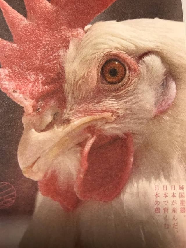 北坂養鶏場 直売所 - サブ画像2