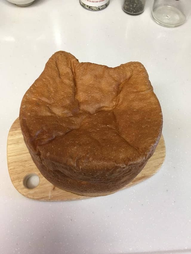 ねこねこ食パン イオンモール八千代緑が丘店 - サブ画像2