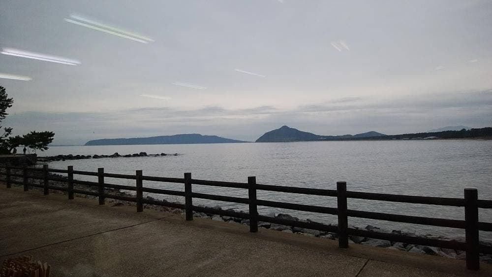 魚正