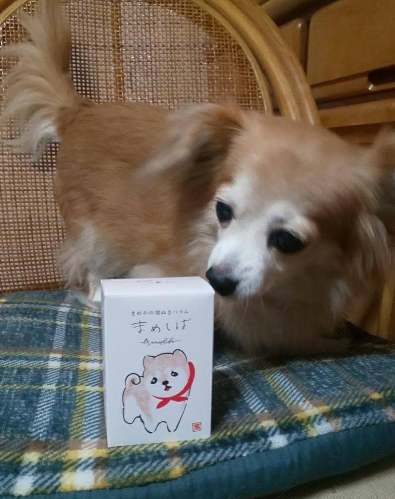 まめや金澤萬久 小田急百貨店 新宿店