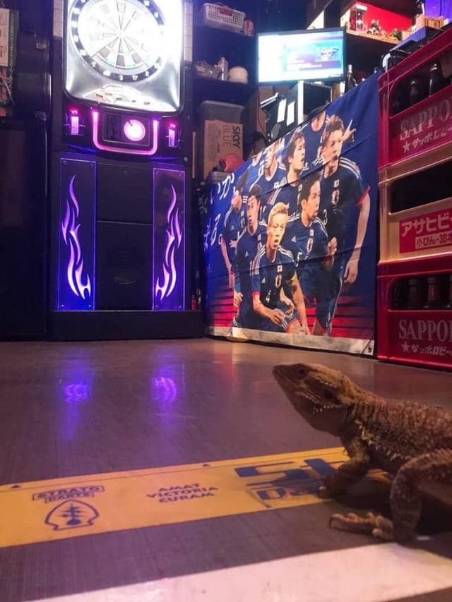 Sport bar FOOT 加古川駅前店 - サブ画像1