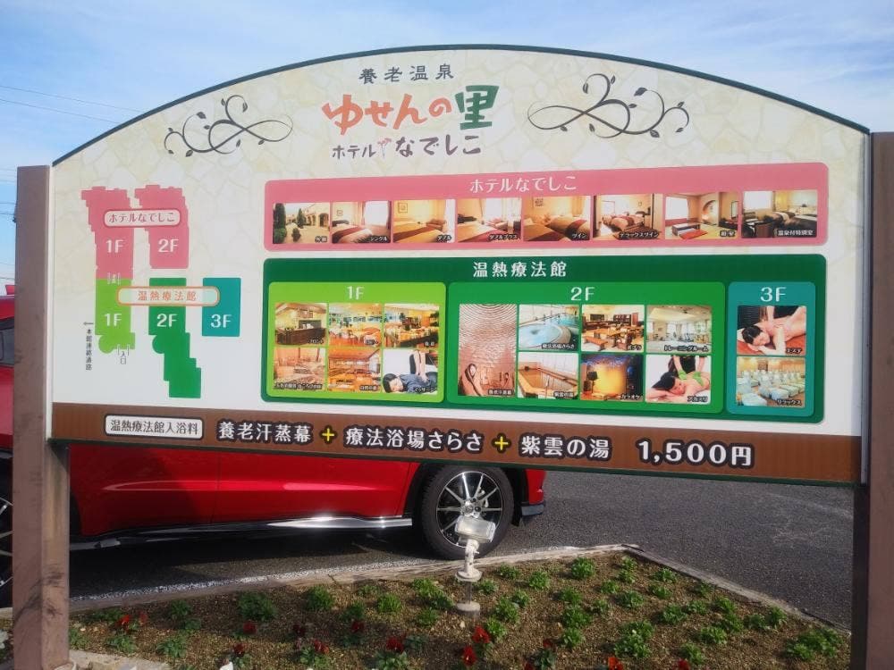 カジュアルフレンチポプラ